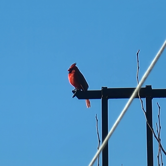 Meet your Posher, Cate - Picture 1 of 1